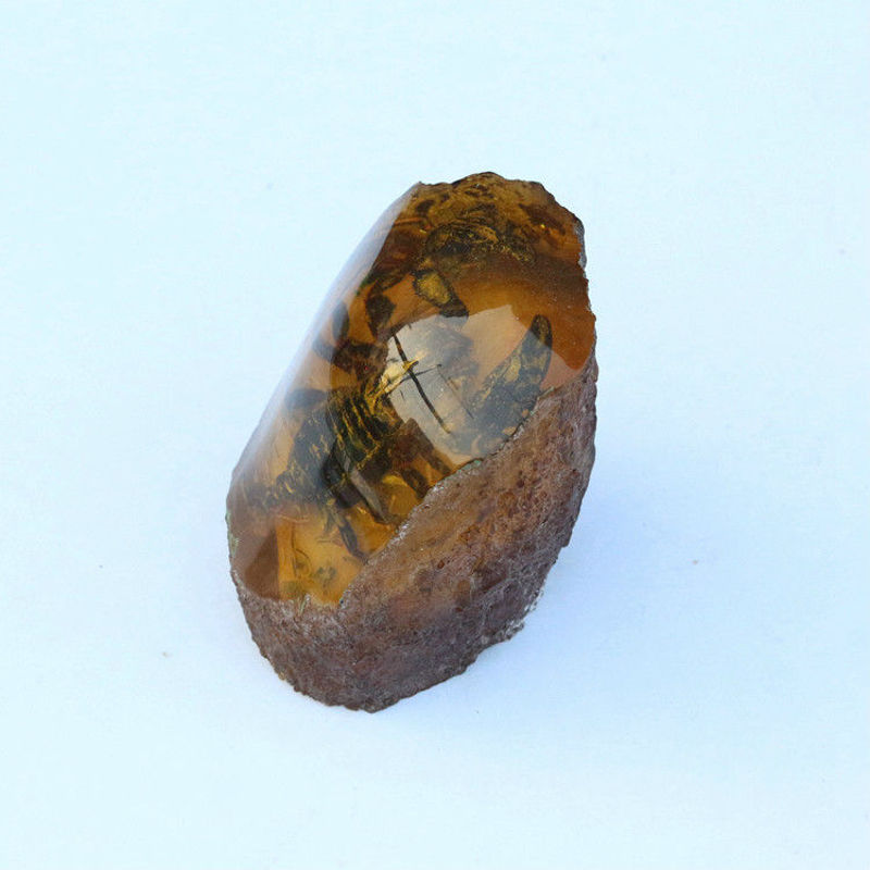 恋江南人工琥珀原石动物带虫虫子标本昆虫真虫虫珀人造蜜蜡摆件图片色