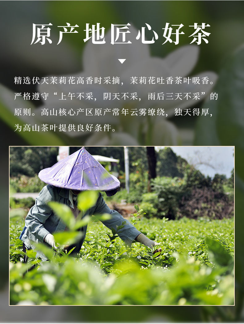 7，2021年新茶茉莉花濃香型花茶罐裝100尅250尅試用裝 100尅試喝裝(袋)無贈