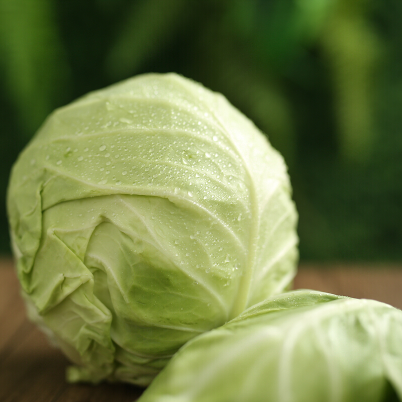东北农家圆白菜大头菜包卷心菜新鲜蔬菜疙瘩白绿甘蓝 1000g【图片