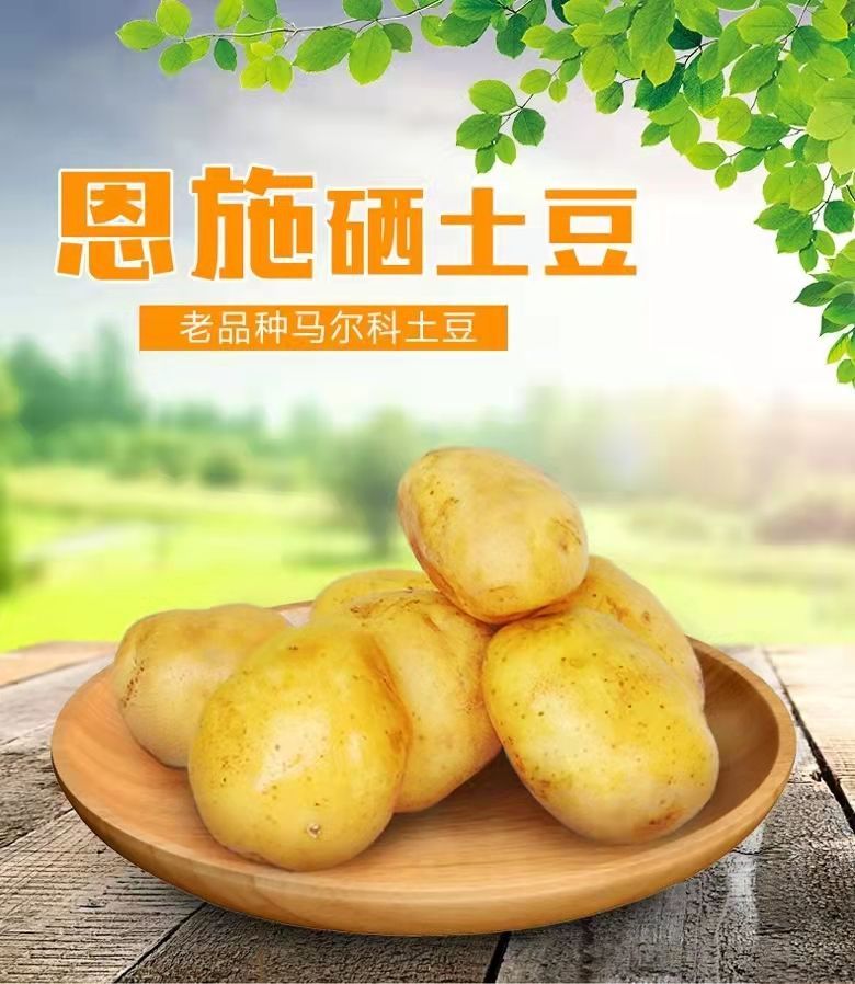 土豆湖北恩施富硒马尔科小土豆新鲜黄心土豆现挖迷你洋芋批发精选装3