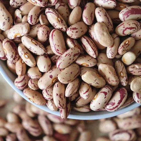 东北白花饭豆农家特色奶花芸豆新豆豆馅粥豆焖饭豆食用豆2斤