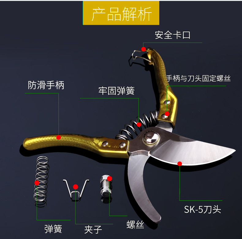 剪家用花剪修剪刀园林剪花枝剪刀果树树枝剪刀剪 高品质版【图片 价格