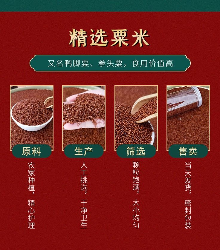 fghgf 广西特产红粟米鸭脚粟龙爪粟拳头粟掺子糙米五谷杂粮代餐粗粮 3