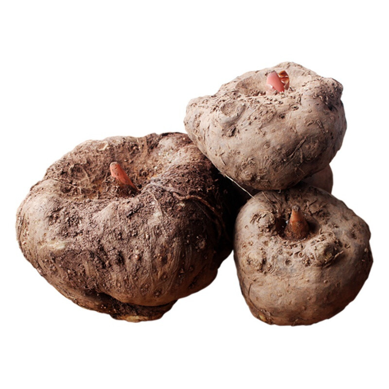 现货云南高山种植新鲜魔芋魔芋头粉片魔芋豆腐原料5斤2500g