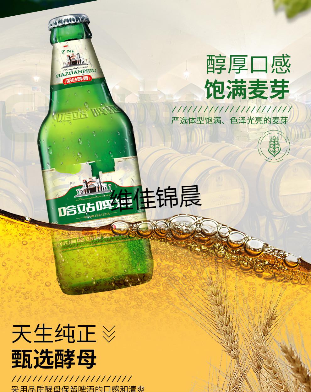 24瓶哈尔滨哈站干啤啤酒330ml玻璃瓶啤酒哈站干啤330mlx6瓶