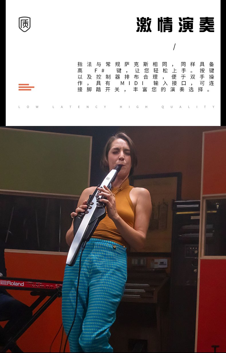 罗兰aerophone ae-30电吹管电子吹管 电萨克斯定制款 ae-30 标配