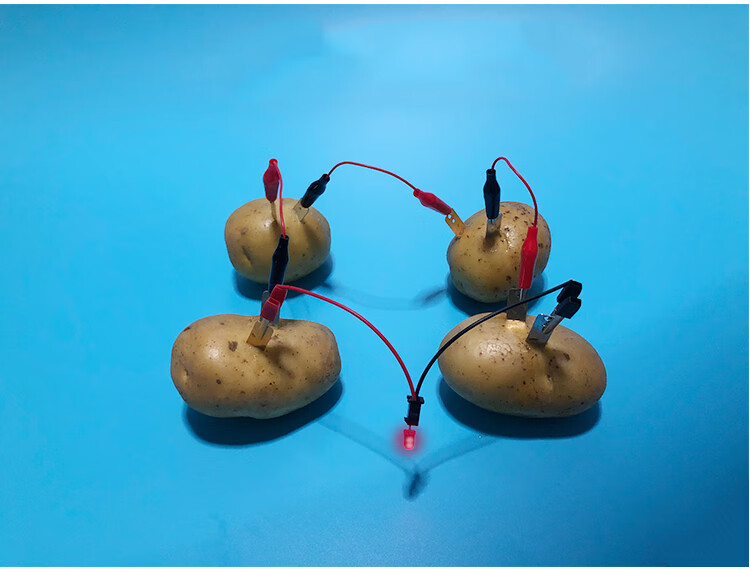 小郎人 diy可乐土豆柠檬水果电池发电时钟科学小实验材料器材幼儿园