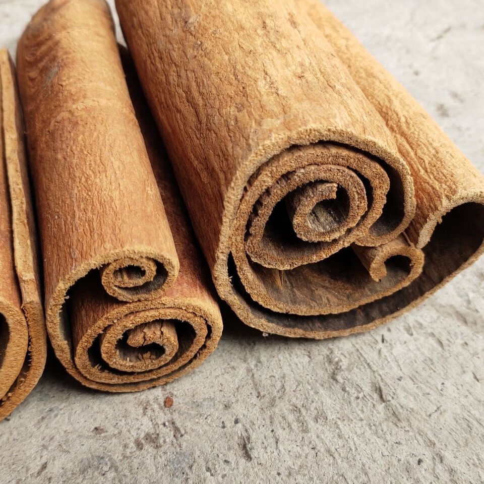 越南紫油桂 越南肉桂桂心玉桂高山紫油桂老油桂官桂清化安南油桂可打