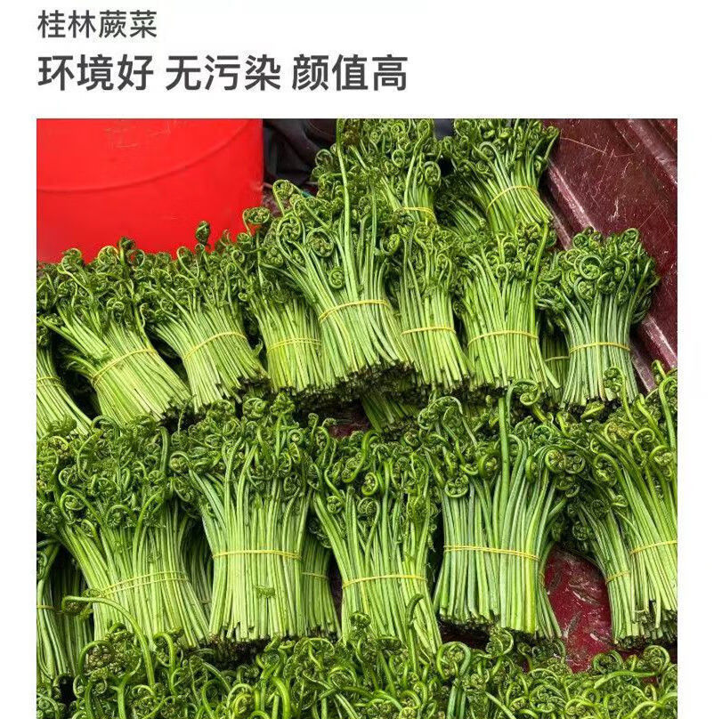 广西稀有蔬菜图片