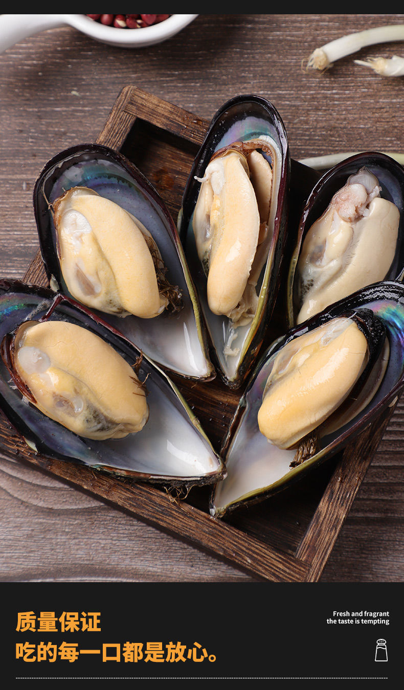 新鲜海虹贻贝青口贝当季鲜活淡菜海鲜水产贝类冷链二三王牛带箱5斤