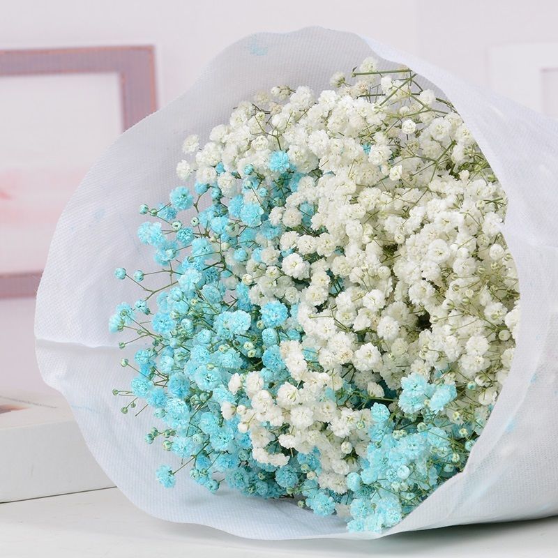 云南勿忘我 满天星干花花束大束花批发论斤散装饰品摆件 粉白星 30cm