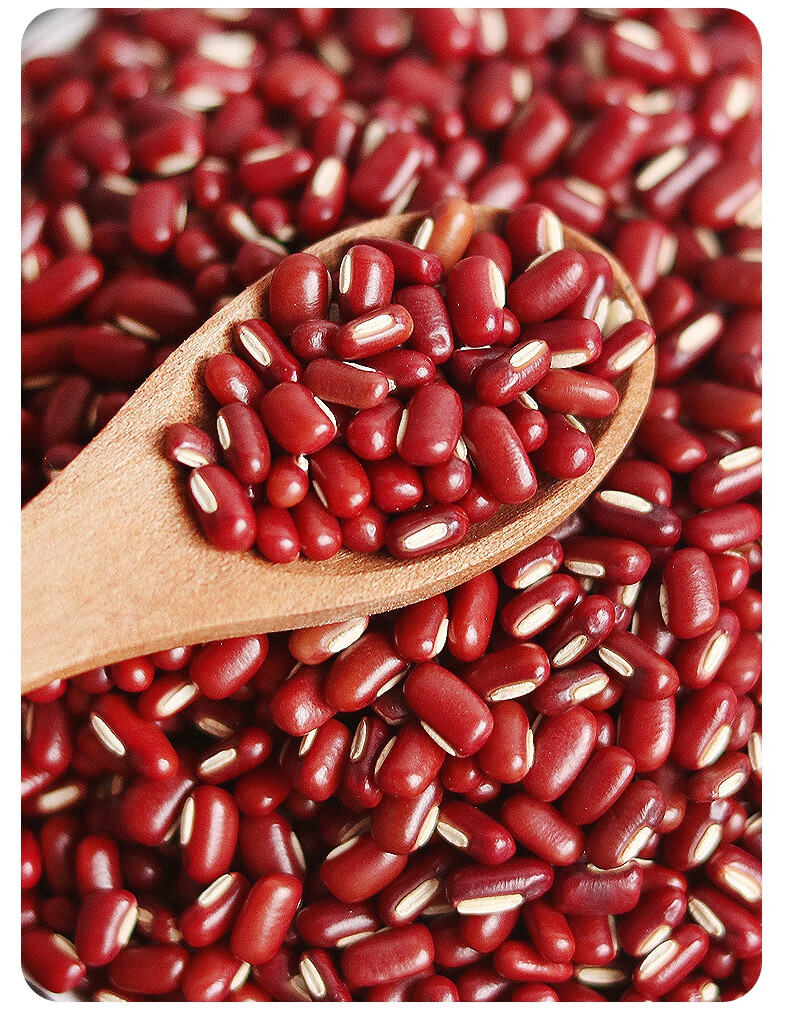 东北特产新长粒赤小豆1000g罐装赤豆红豆粮油薏粥材料米五谷杂粮