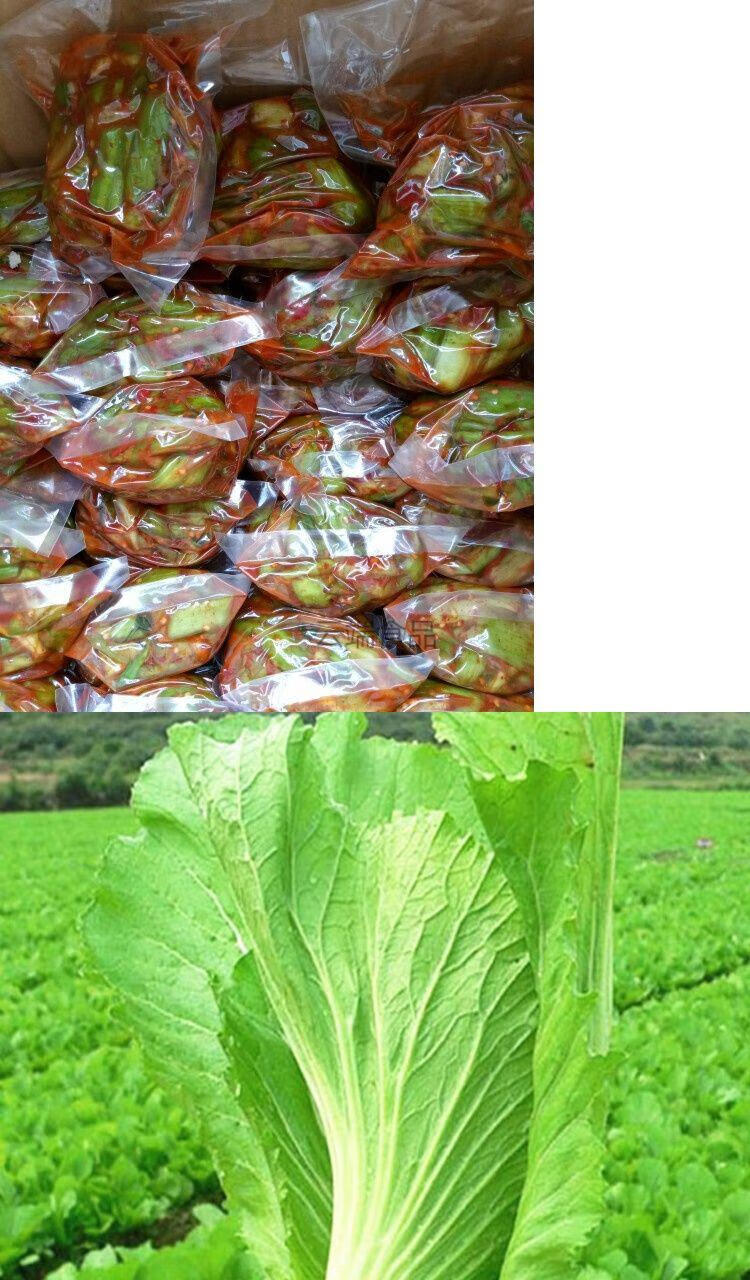 江西特产抚州正宗临川菜梗新鲜芥菜泡菜下饭菜早餐下饭下粥菜 黄色 2