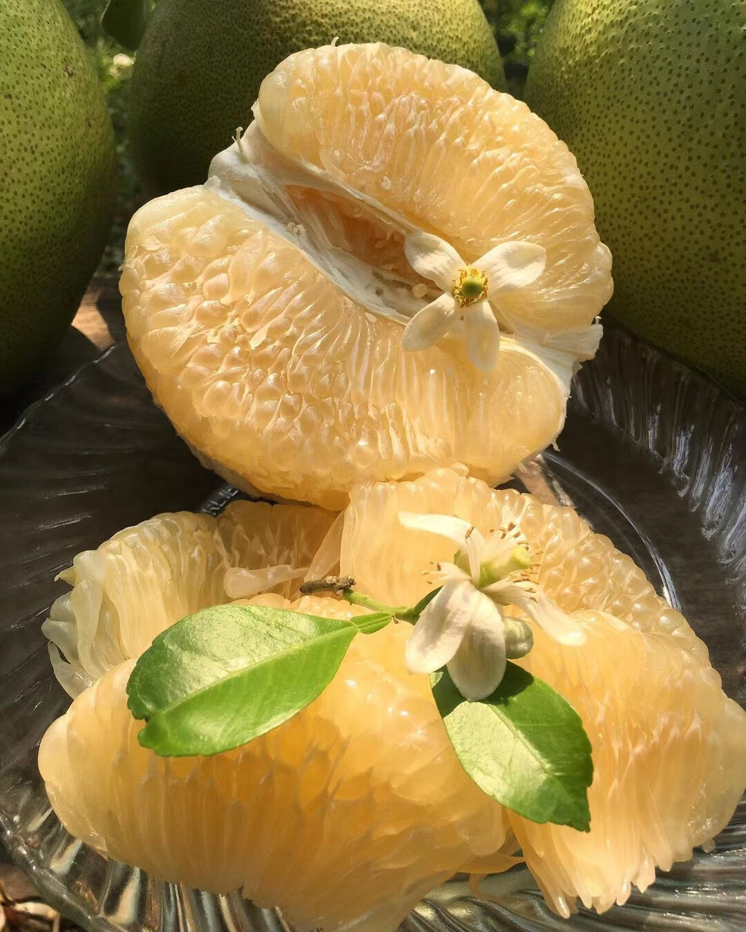 更多参数>>国产/进口:国产原产地:泰国包装形式:礼盒装种类:白柚子