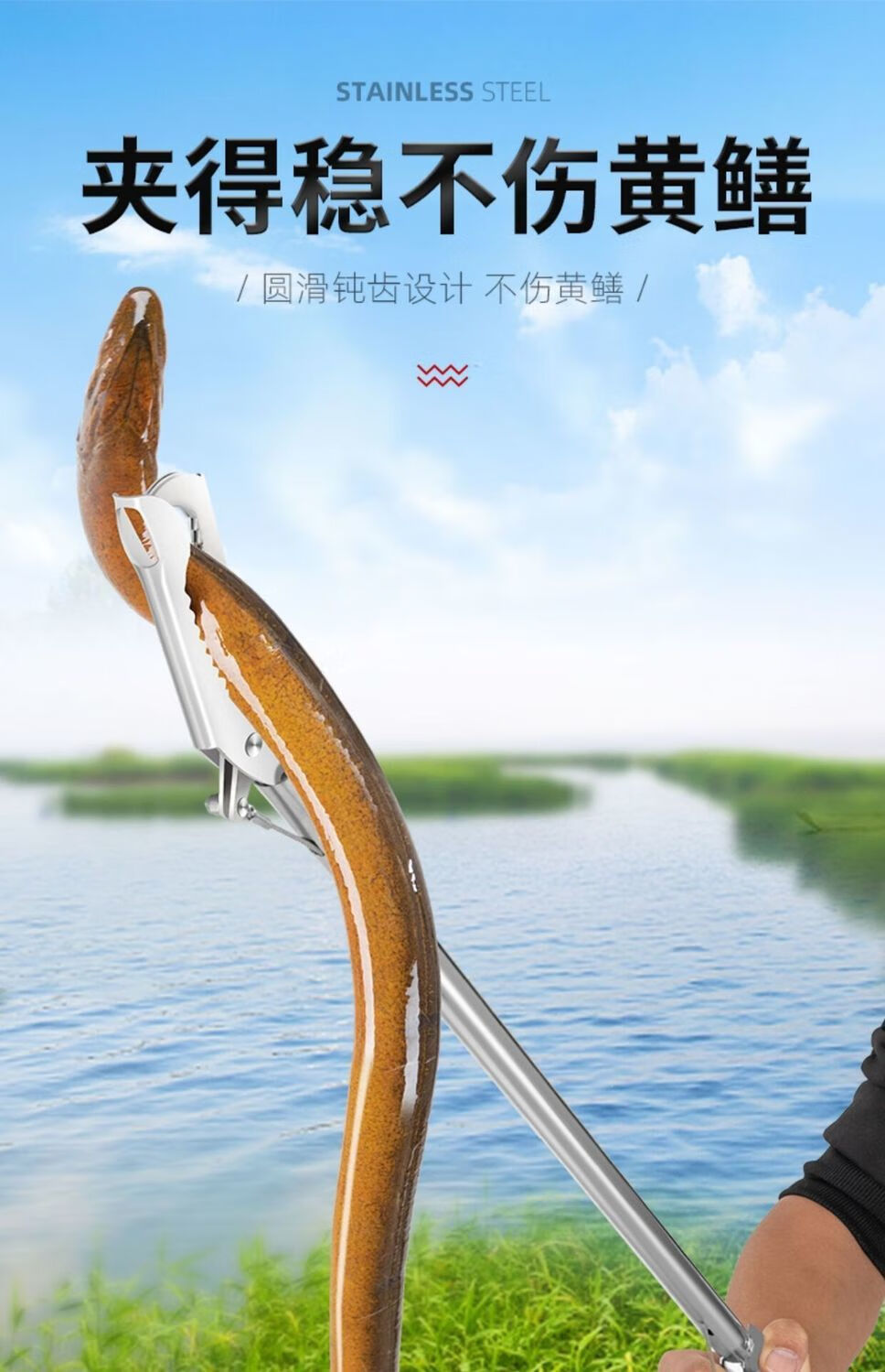 黄鳝夹子鳝鱼夹抓螃蟹神器泥鳅钳子蛇夹防滑工具不锈钢长鱼捕捉器