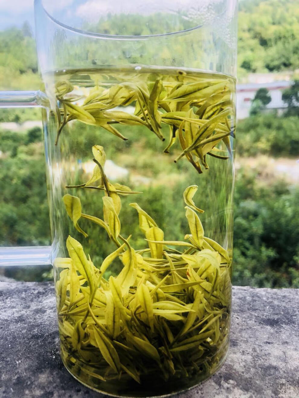 100克21年新茶明前绿茶正宗贵州白茶白散装【图片 价格 品牌 报价】