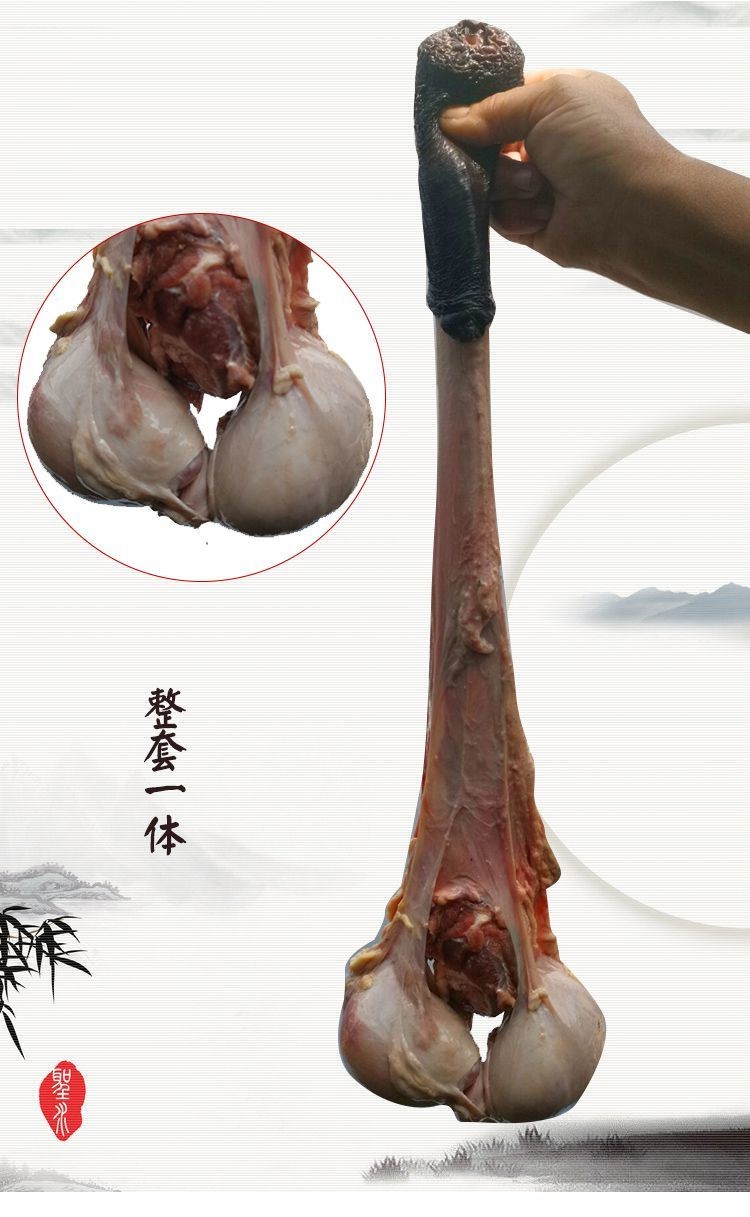 新鲜生驴鞭带蛋现杀特大驴鞭整套男用泡酒金钱肉驴肉熟种驴鞭283斤好