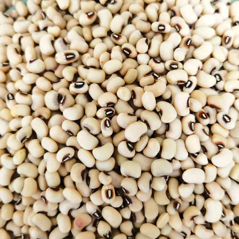 眉豆 新货 一斤 多种规格可选 黑嘴白眉豆白九月豆 江豆干货 白眉豆3