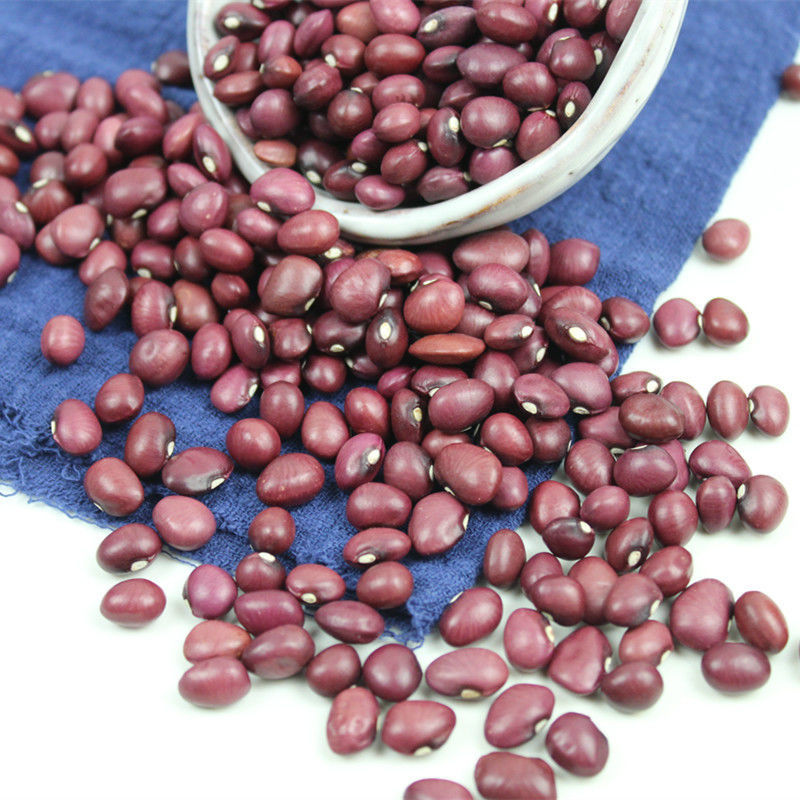 红扁小芸豆5斤新货农家红豆非赤小豆红小豆红芸豆类杂粮粗粮1斤红扁