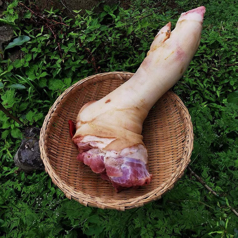 新鲜整只猪前腿带筋猪脚带猪肘猪蹄髈生鲜速冻腊猪腿食材冷链 团建