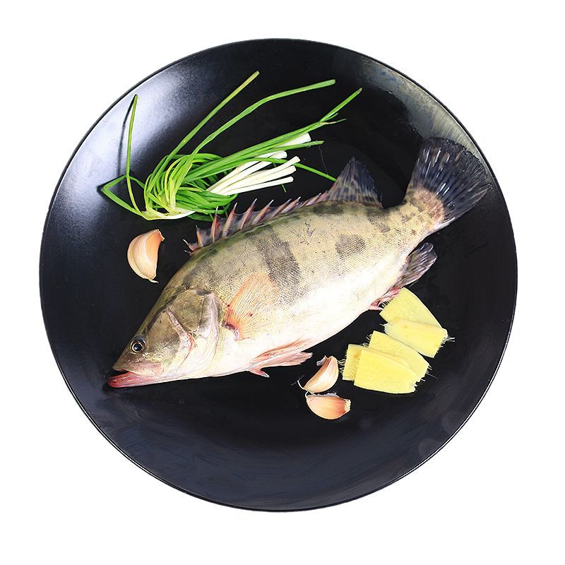 桂鱼鳜鱼桂花鱼季花鱼500g新鲜活体速冻变质包赔两条合计27斤活鱼速冻