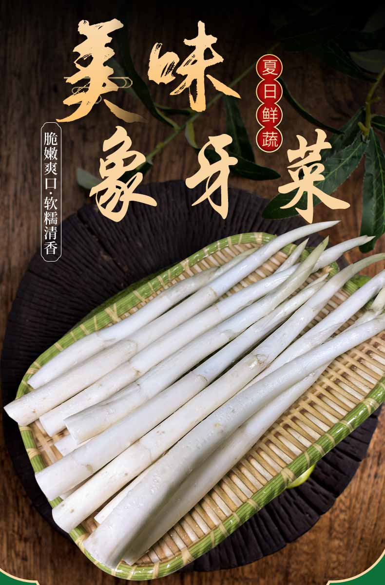 林中山 云南象牙草 新鲜草芽毛草芽青菜时令蔬菜农家 500g【图片 价格