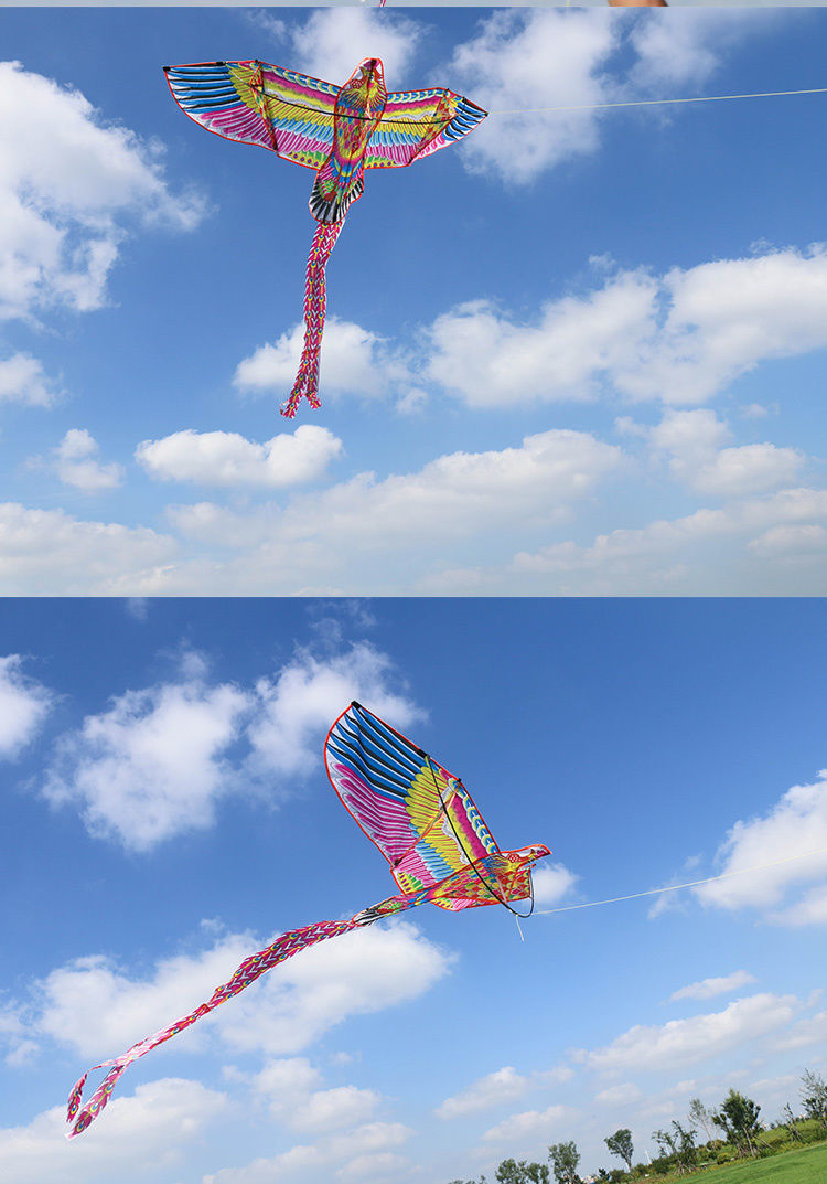 风筝大型新款潍坊火烈鸟凤凰风筝大型前撑成人微风易飞带线轮儿童卡通