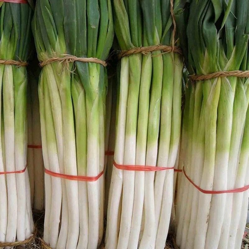 山东铁杆大葱新鲜安丘大葱细葱大葱大葱有皮去半叶3斤装