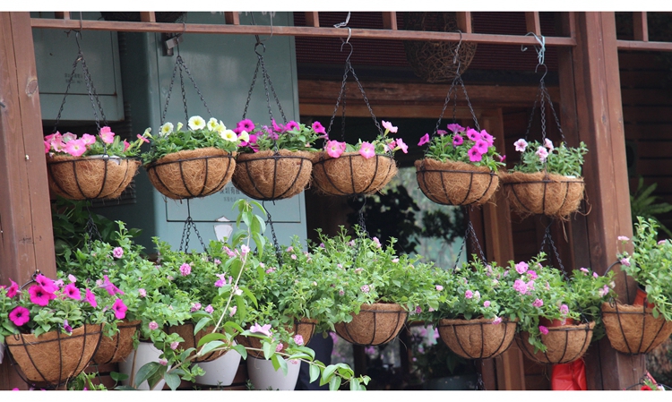 椰棕丝吊篮复古田园风垂挂花架子铁艺半圆球形悬吊兰盆海草篮吊篮铁框