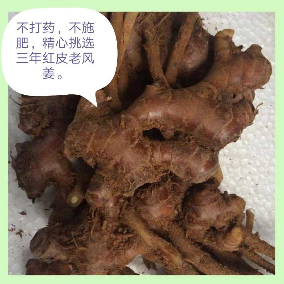 月子有去风,暖胃的功效,对湿气重和宫寒的患者有非常好的作用更多参数