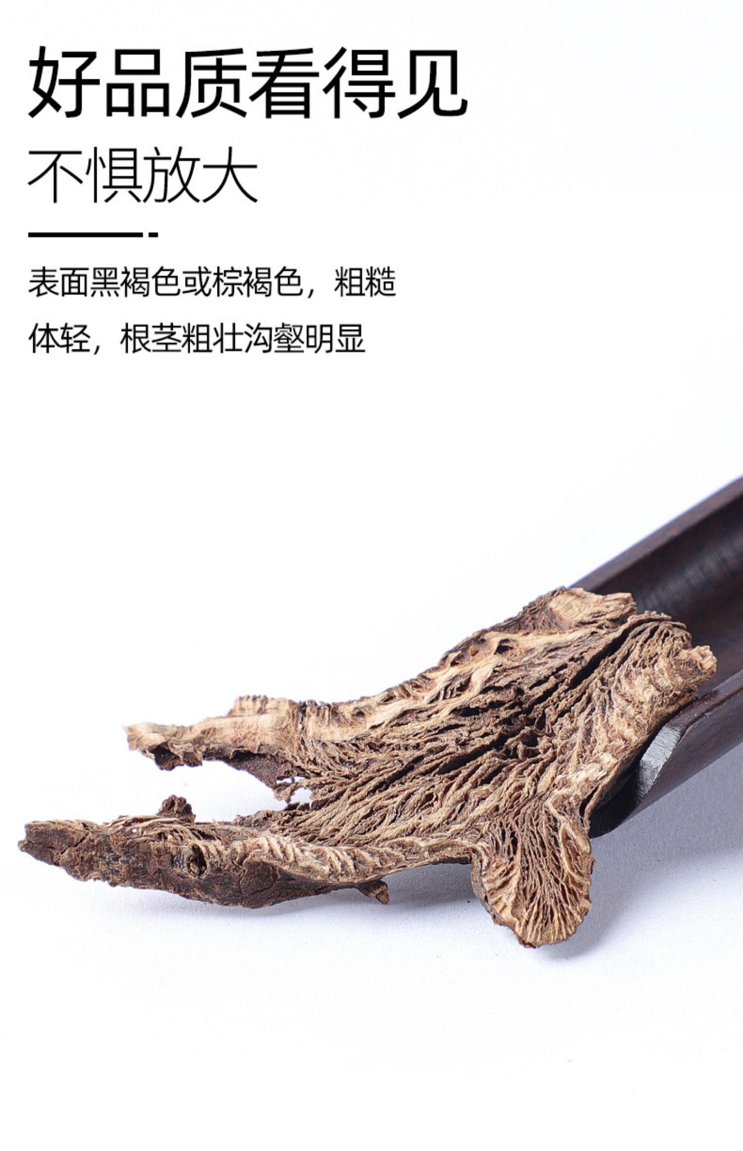 北京同仁堂升麻500g北升麻升麻片野生中药材店铺中草药材大全升麻粉