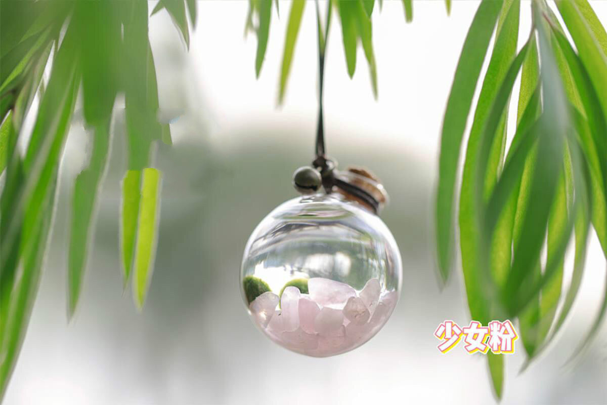 海藻球宠物marimo海藻球diy随身瓶水晶生态瓶海藻球微景观许愿瓶劲诚