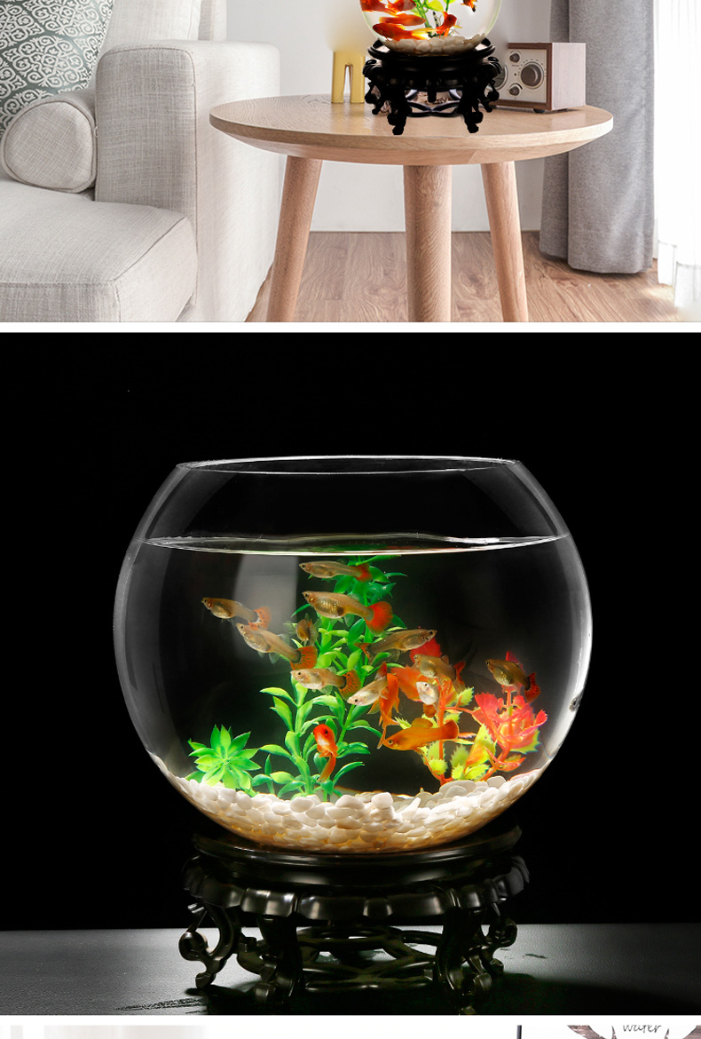 玻璃生态鱼缸水族箱客厅小型桌面乌龟缸创意迷你家用小鱼缸金鱼缸25