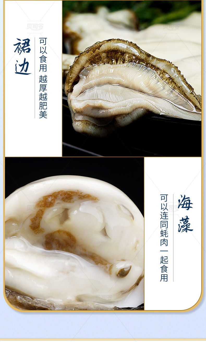生蚝10斤特大牡蛎鲜活海鲜现捕海蛎子整箱高品质10斤装加蚝刀芥末5xl