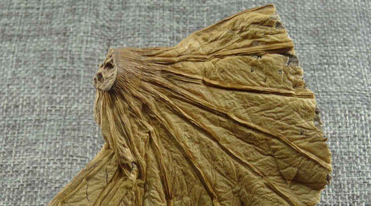 荷叶蒂500g新货荷蒂 荷鼻 莲蒂 干荷叶蒂 荷叶顶【图片 价格 品牌