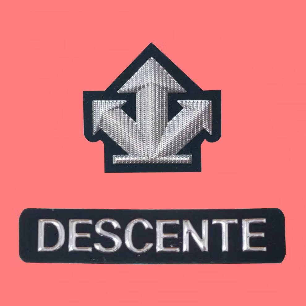 羽绒服补丁贴字母 迪桑特descente标志补丁贴百搭时尚贴花羽绒服装饰