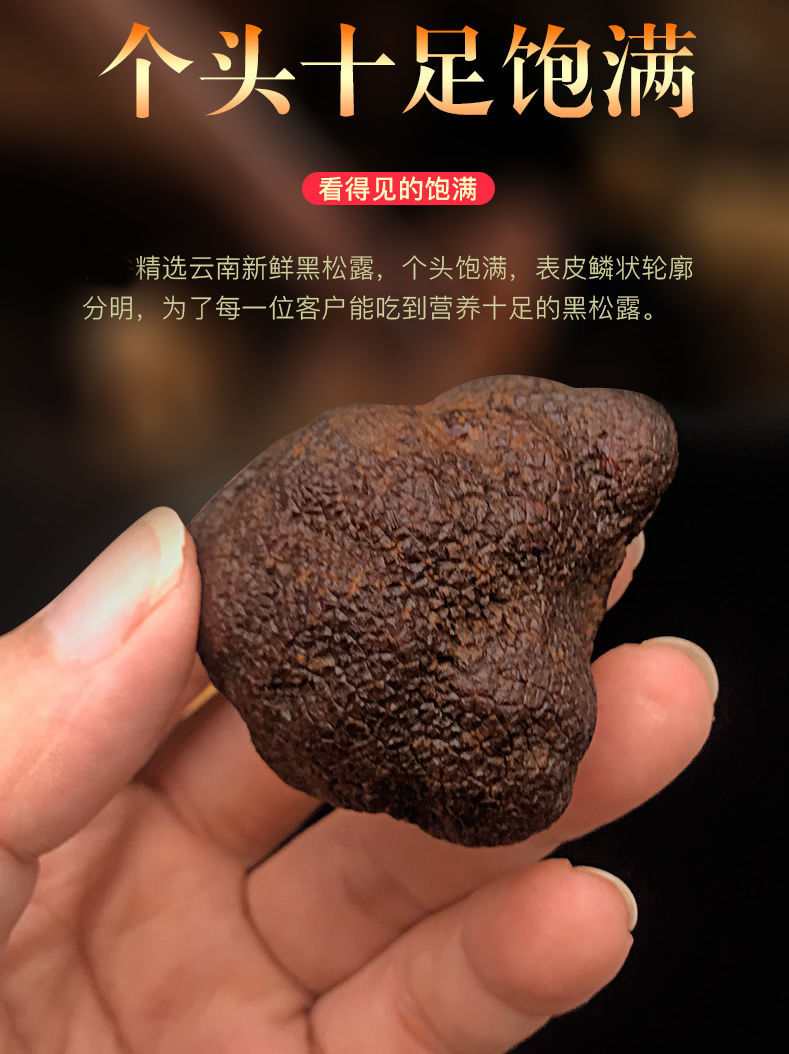 现采现发云南黑松露1斤2斤新鲜当季松露菌新鲜空运 顺丰空运严选1000