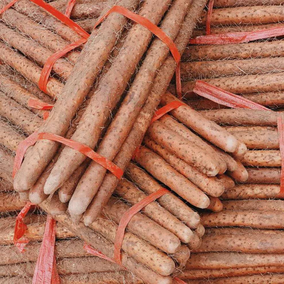 【精选直发】山药新鲜现挖铁棍山药河南垆土淮山药小白嘴铁杆山药口感