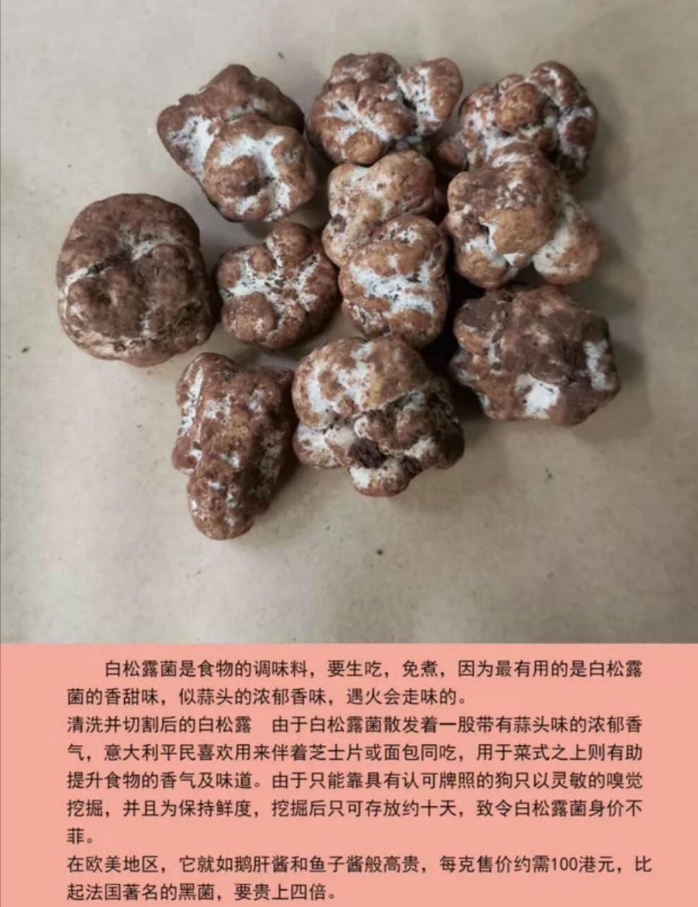 阿尔巴白松露冰冻白松露云南特产1kg装山珍香菇干货白松露250克尝鲜装