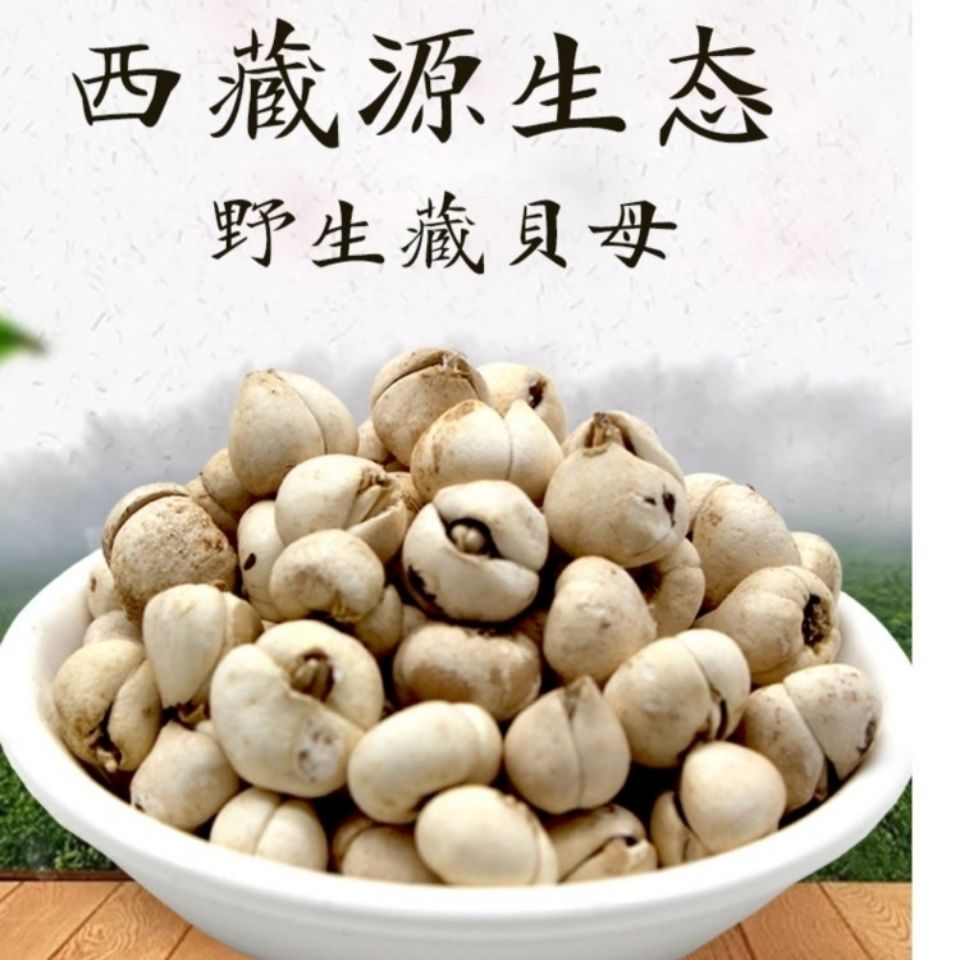 南京同仁堂原料西藏贝母正宗野生藏贝母林芝特产野生藏