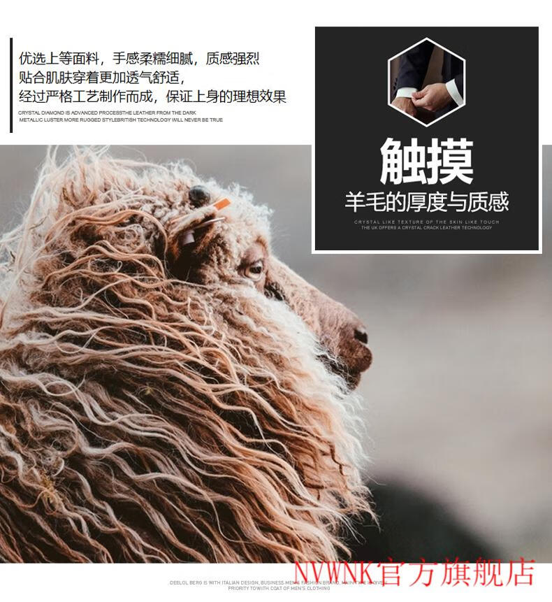6ca73523a95dce4e.jpg