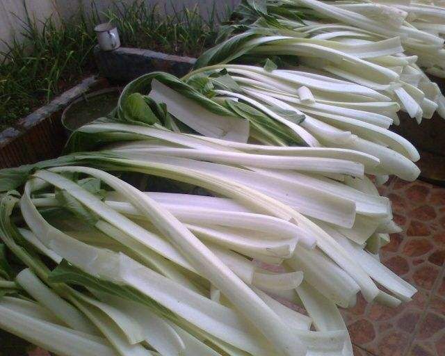 辉导 苏北特产农家腌制咸菜缸腌长梗白菜整颗大白菜下饭菜火锅配菜 腌