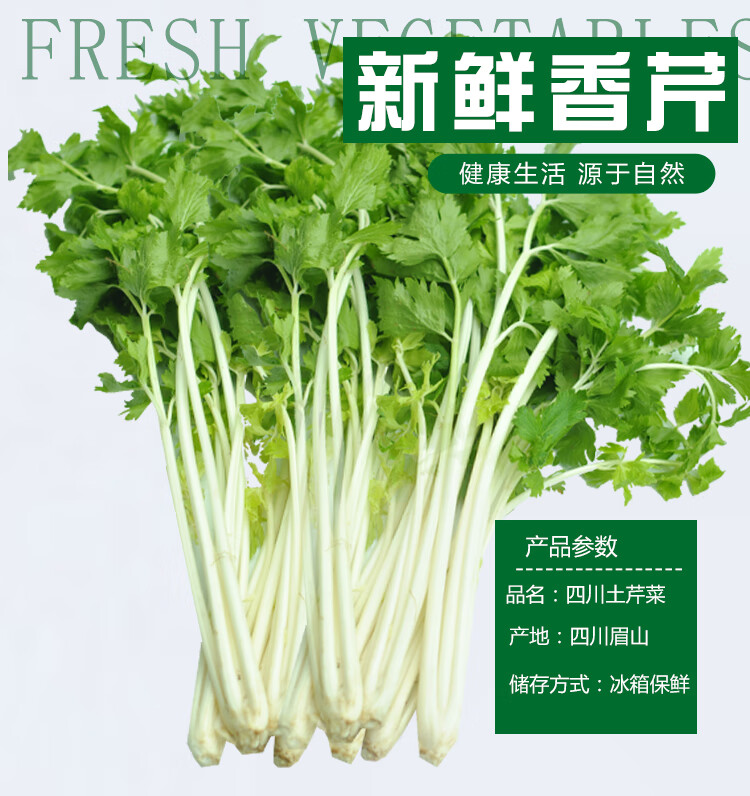 现摘现发四川白芹菜白香芹新鲜土芹菜小香芹当季水芹炒菜食用四川农家