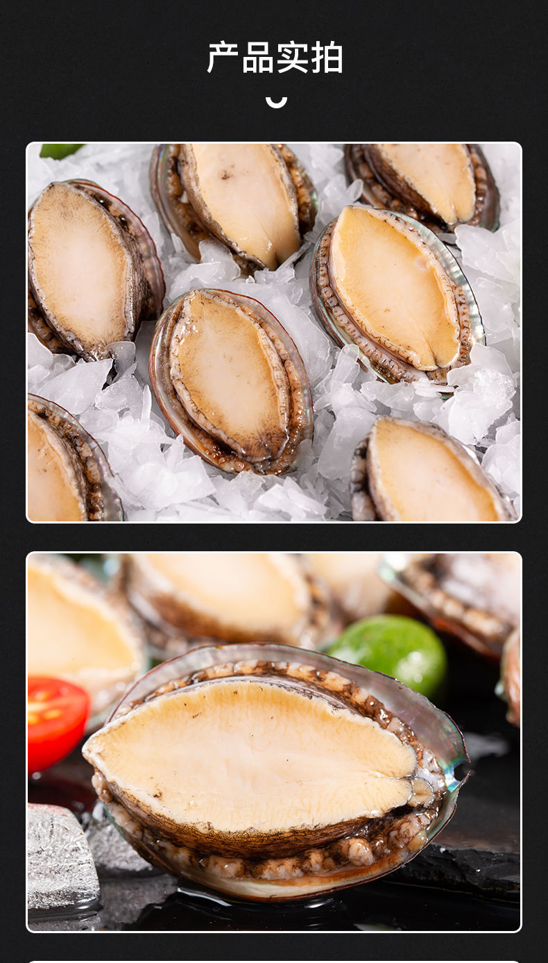 顺丰速运鲜活冻品鲍鱼新鲜冷冻海捕佛跳墙材料批发海鲜蜜鲜湾小号2斤