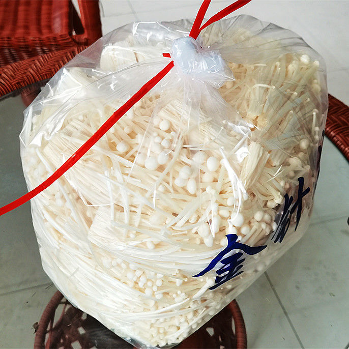 【产地直发】现摘5斤鲜金针菇蔬菜食用菌火锅麻辣烫烧烤食材批发