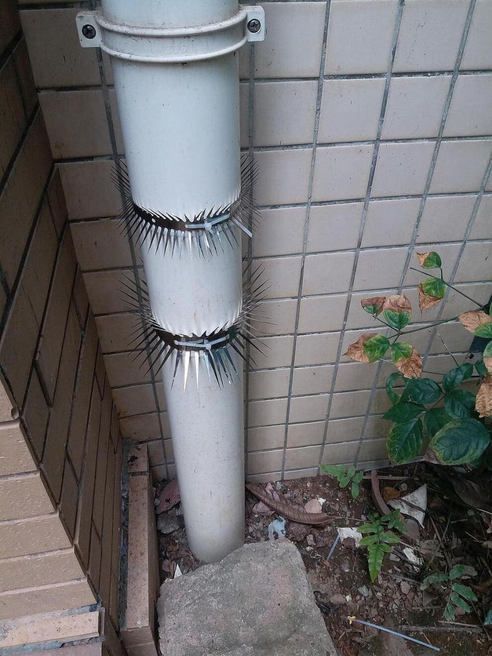 科威顿防爬刺防老鼠神器倒刺老鼠刺防爬刺网倒刺钉 小号升级款1米