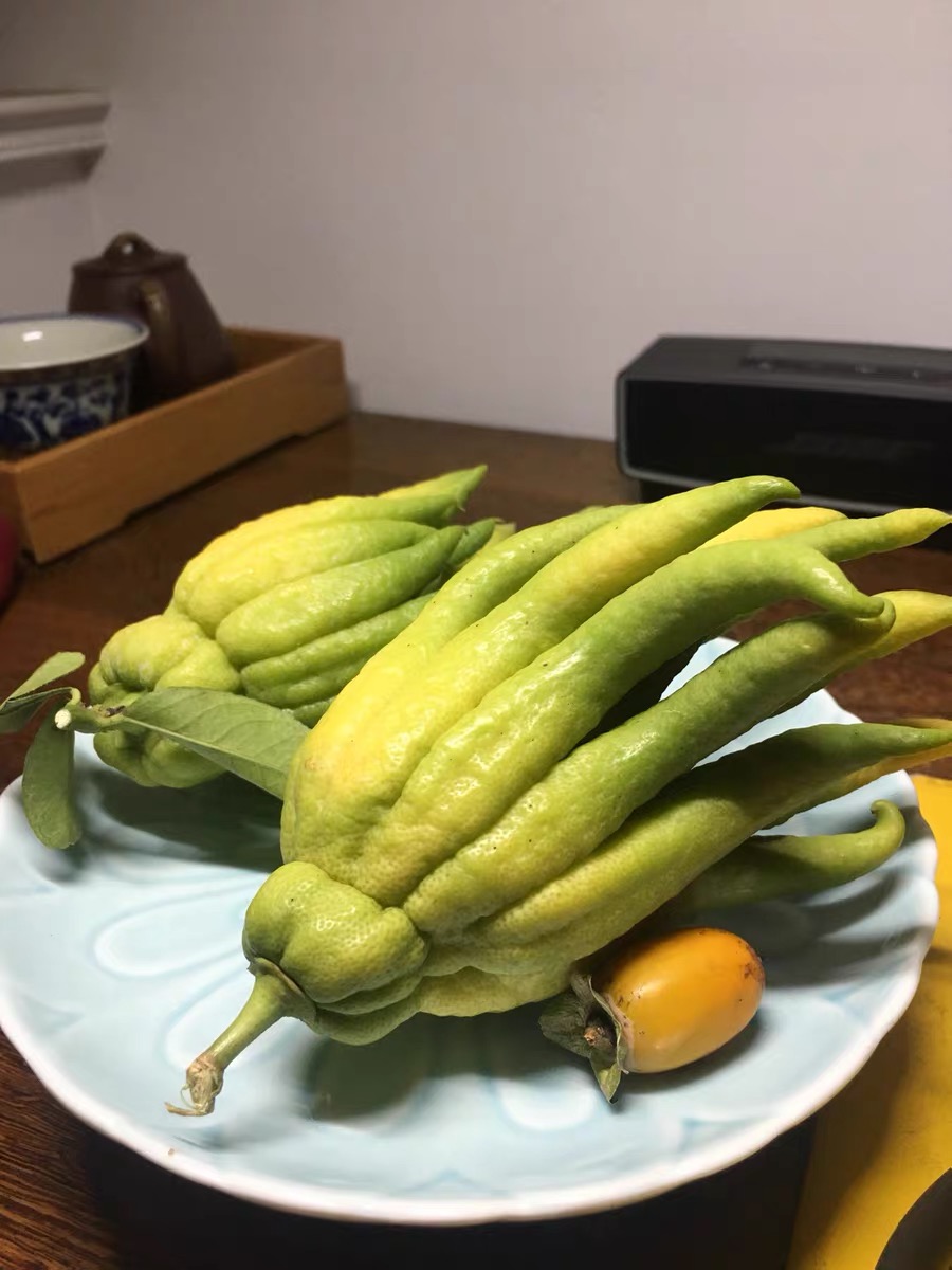 精選佛手花果金華香櫞果佛果手花卉佛手柑清供把玩水養插花瓶送禮大青