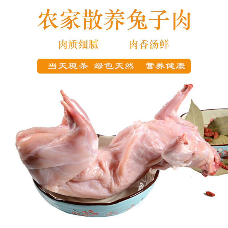 肉兔图片介绍图片