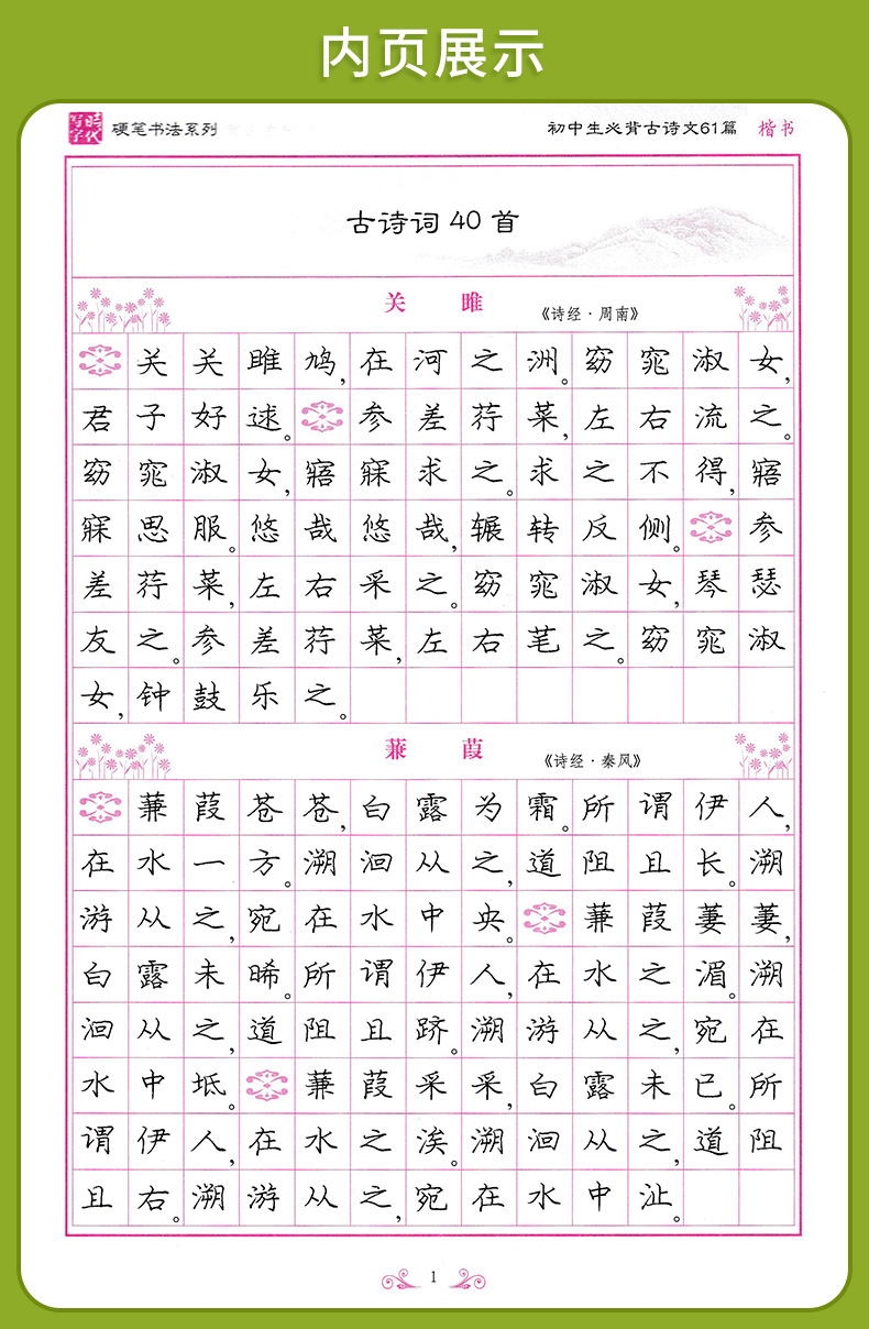 庞中华硬笔楷书字帖飞花令里写诗词学生背古诗文75首61篇72篇婉约词