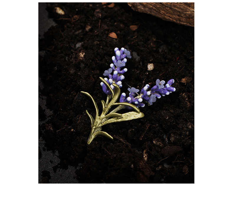 百搭港风大气配饰ins潮森系同款 薰衣草胸针【小款】 含礼盒【图片